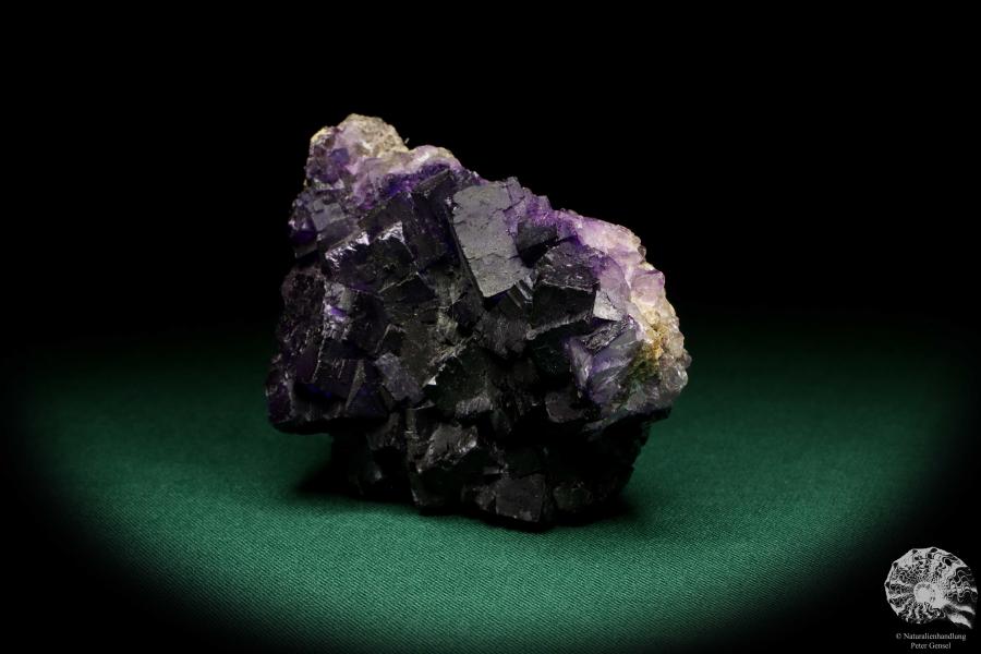 Fluorite XX (19984) a mineral from Mexico | Minerals | Global