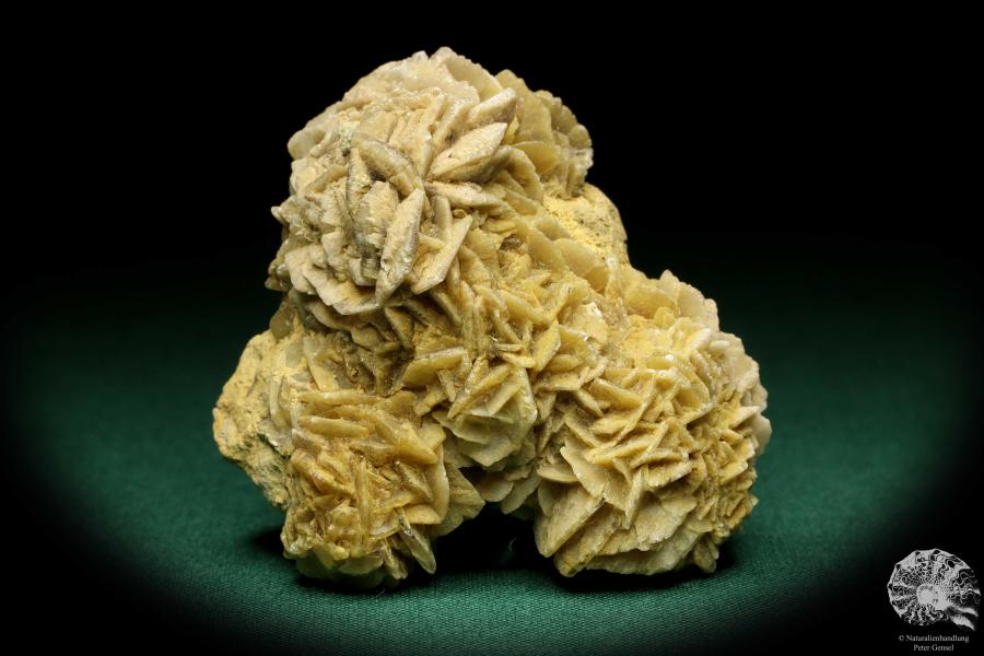 Gypsum XX (19996) a mineral from Germany | Minerals | From Germany