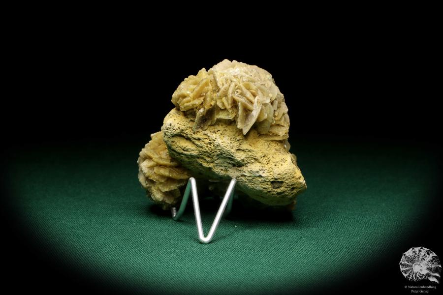 Gypsum XX (19996) a mineral from Germany | Minerals | From Germany