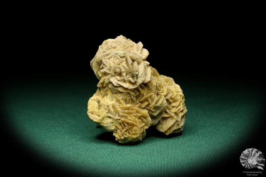 Gypsum XX (19996) a mineral from Germany | Minerals | From Germany