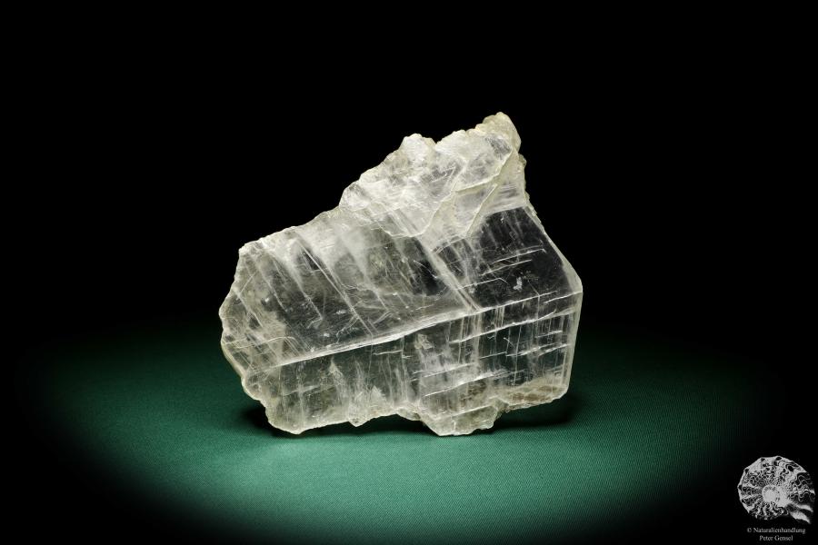 Gypsum XX (20003) a mineral from Germany | Minerals | From Germany