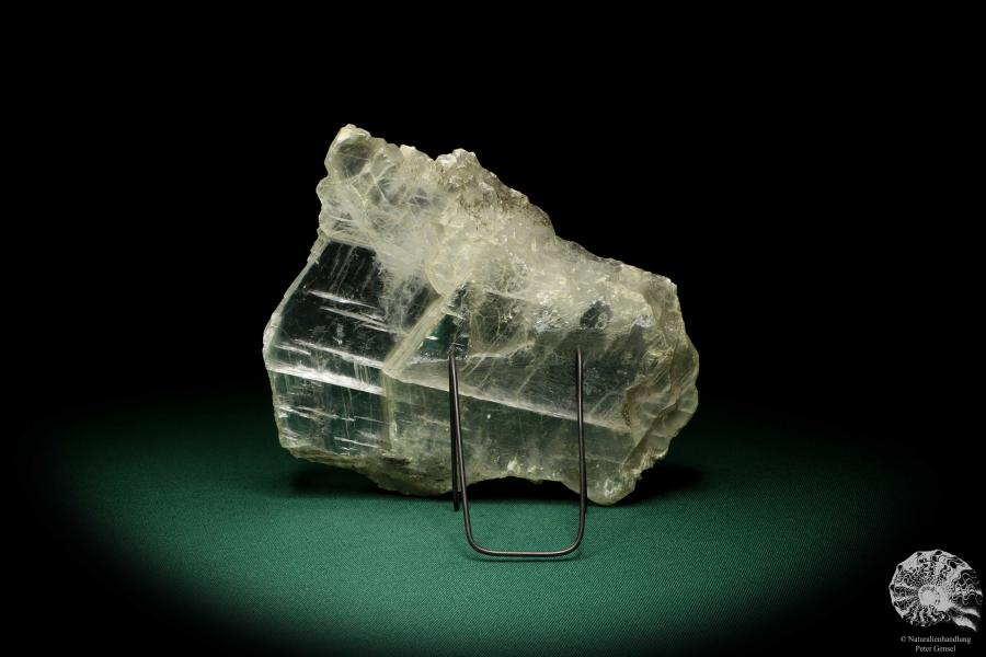 Gypsum XX (20003) a mineral from Germany | Minerals | From Germany