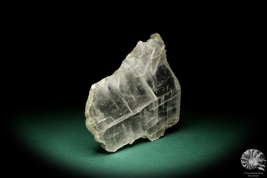 Gypsum XX (20003) a mineral from Germany | Minerals | From Germany