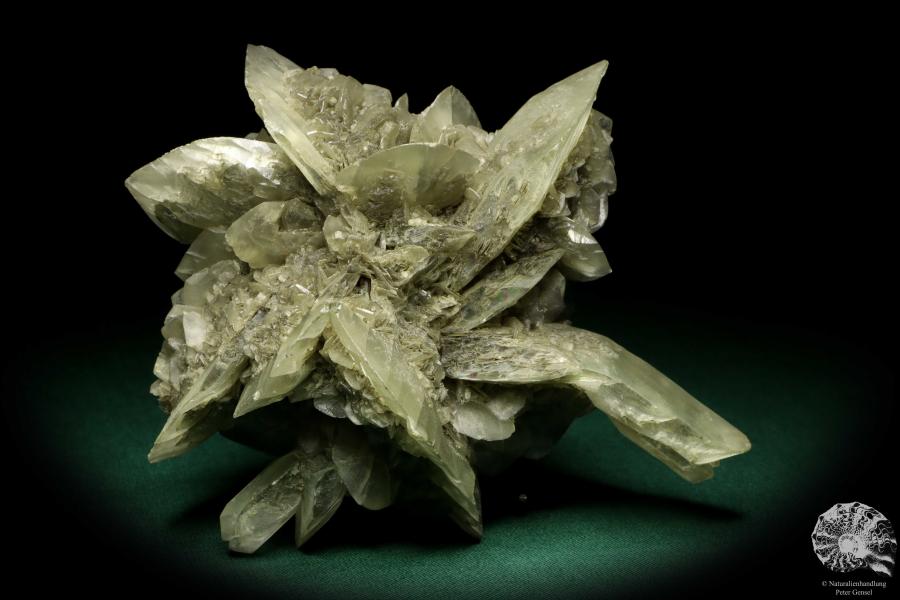 Gypsum XX (20010) a mineral from Germany | Minerals | From Germany