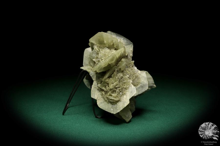 Gypsum XX (20010) a mineral from Germany | Minerals | From Germany