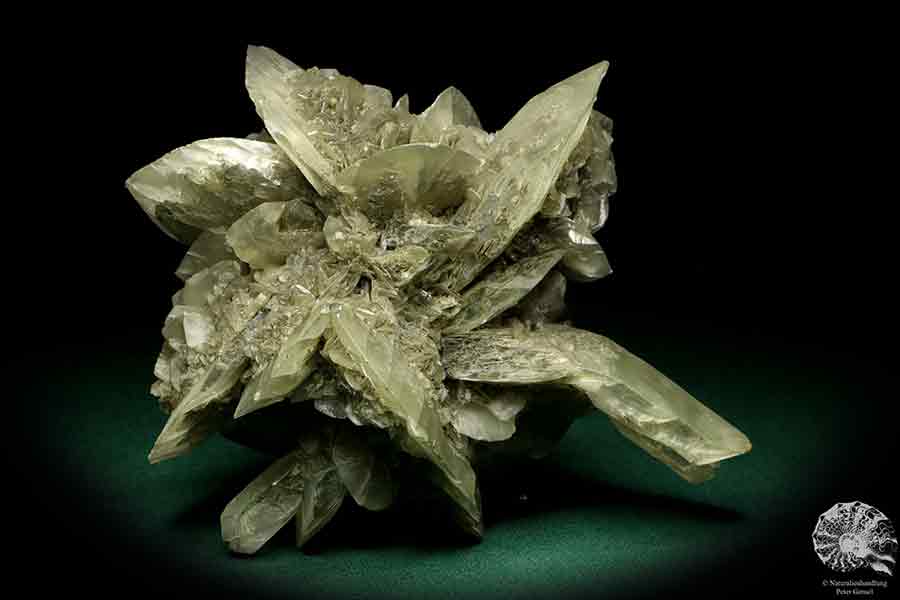 Gypsum XX a mineral