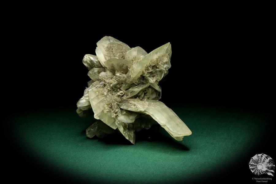 Gypsum XX a mineral