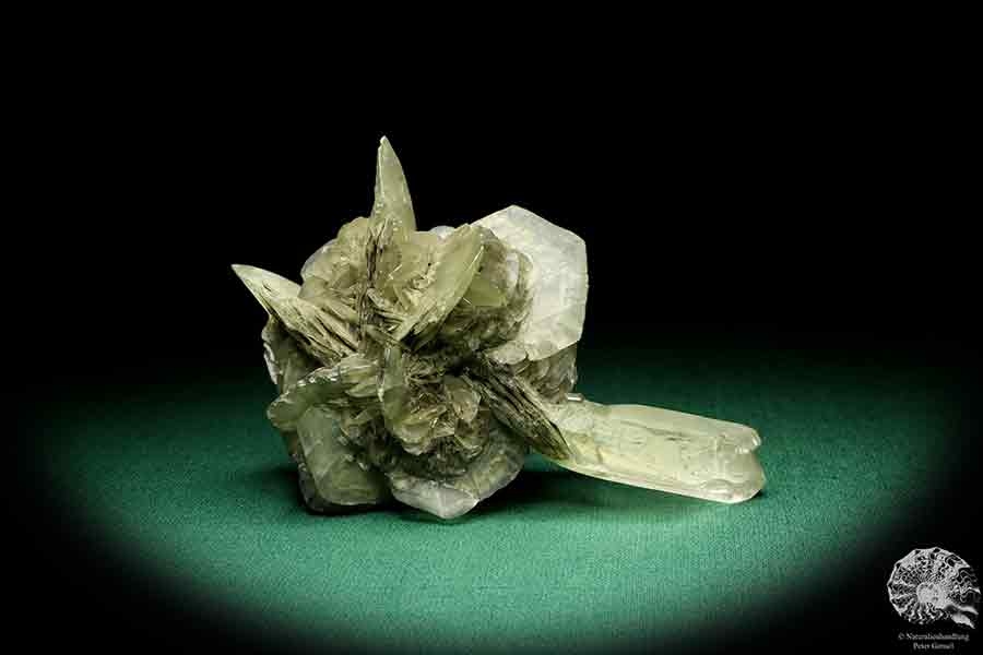 Gypsum XX a mineral