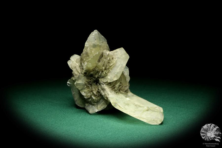 Gypsum XX a mineral