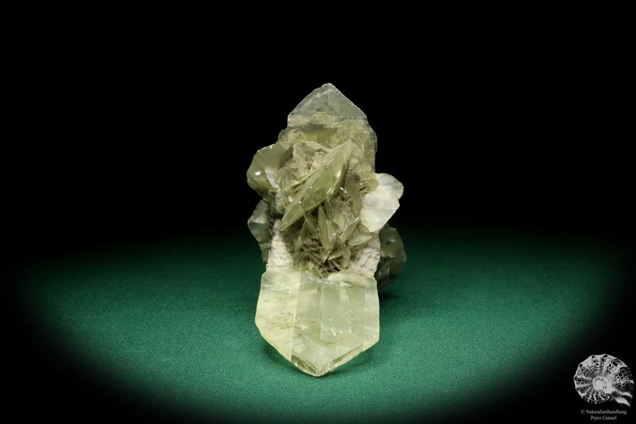 Gypsum XX a mineral