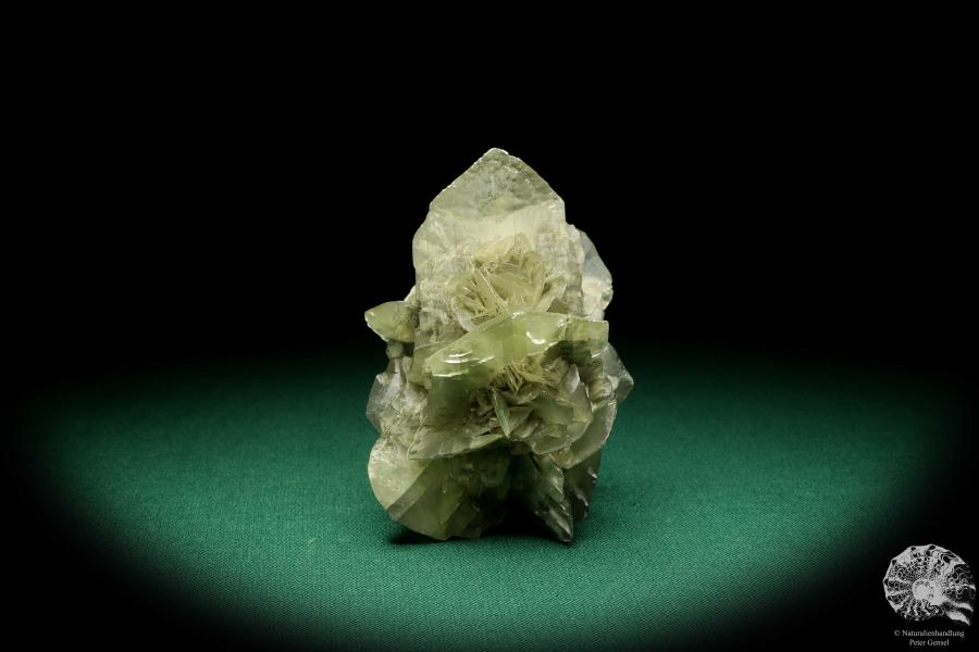 Gypsum XX a mineral