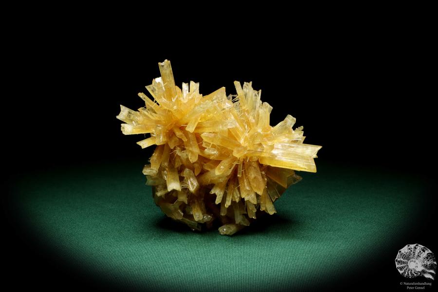 Gypsum XX a mineral