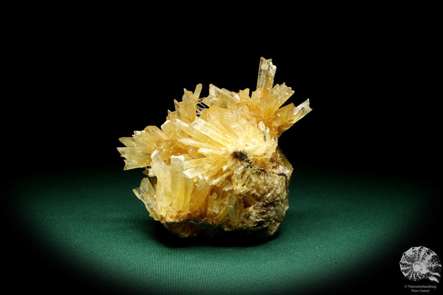 Gypsum XX a mineral