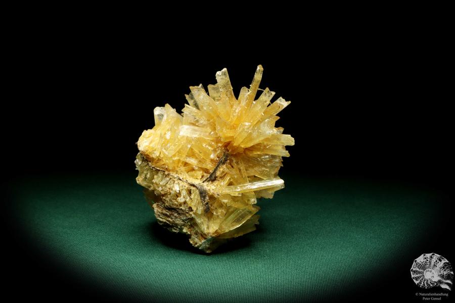 Gypsum XX a mineral