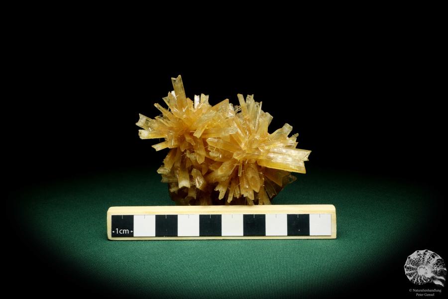 Gypsum XX a mineral