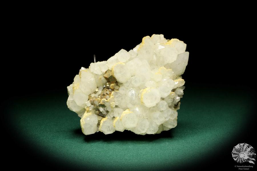 Quartz XX with Pyrite XX (20027) a mineral from Romania | Minerals | Global