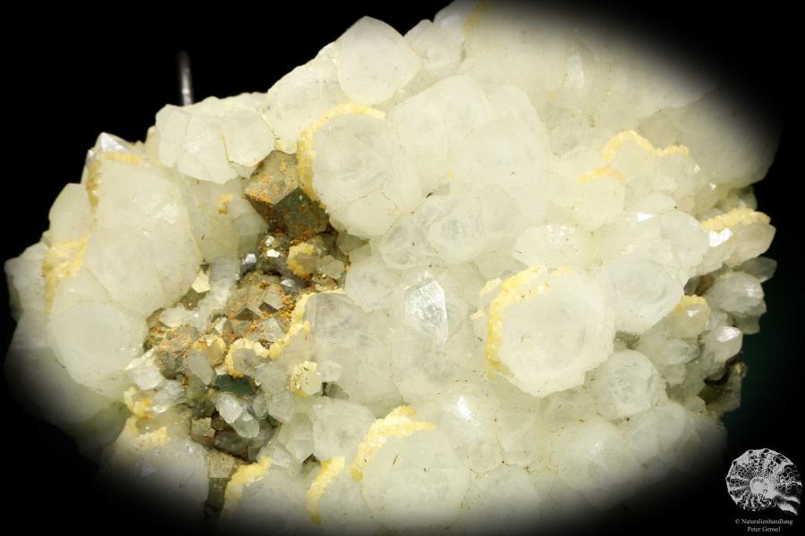 Quarz XX mit Pyrit XX (20027) ein Mineral aus Rumänien | Mineralien | Weltweit