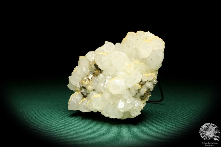 Quartz XX with Pyrite XX (20027) a mineral from Romania | Minerals | Global