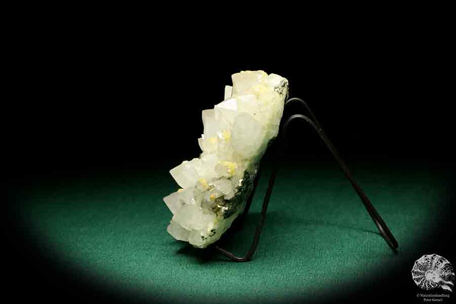 Quartz XX with Pyrite XX a mineral