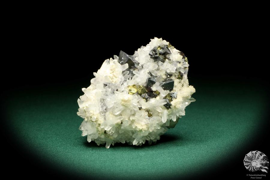 Tetrahedrite XX & Pyrite XX on Quartz XX (20029) a mineral from Romania | Minerals | Global