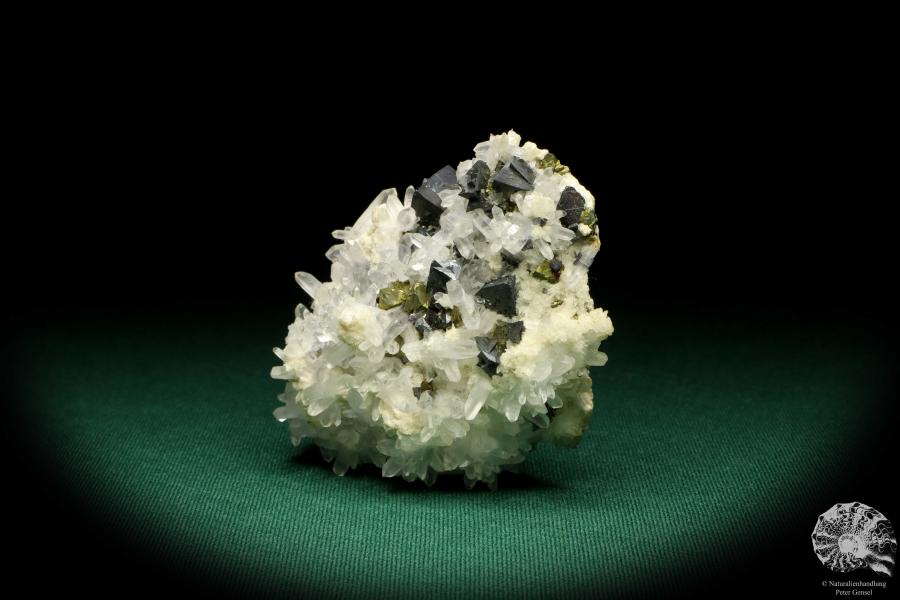 Tetraedrit XX & Pyrit XX auf Quarz XX (20029) ein Mineral aus Rumänien | Mineralien | Weltweit