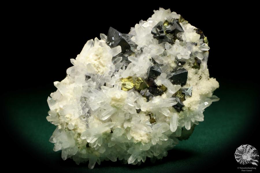 Tetrahedrite XX & Pyrite XX on Quartz XX a mineral