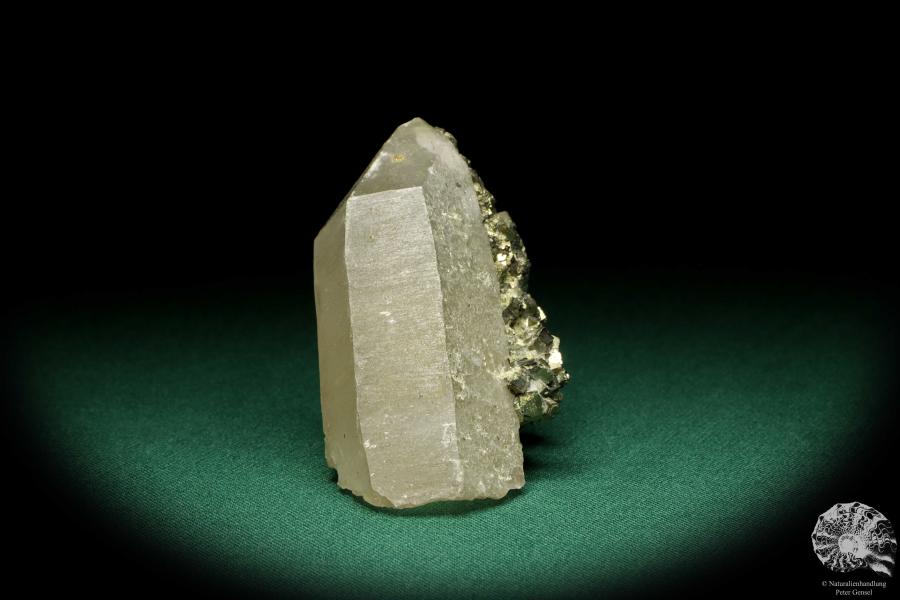 Quarz XX mit Pyrit XX (20038) ein Mineral aus Kasachstan | Mineralien | Weltweit