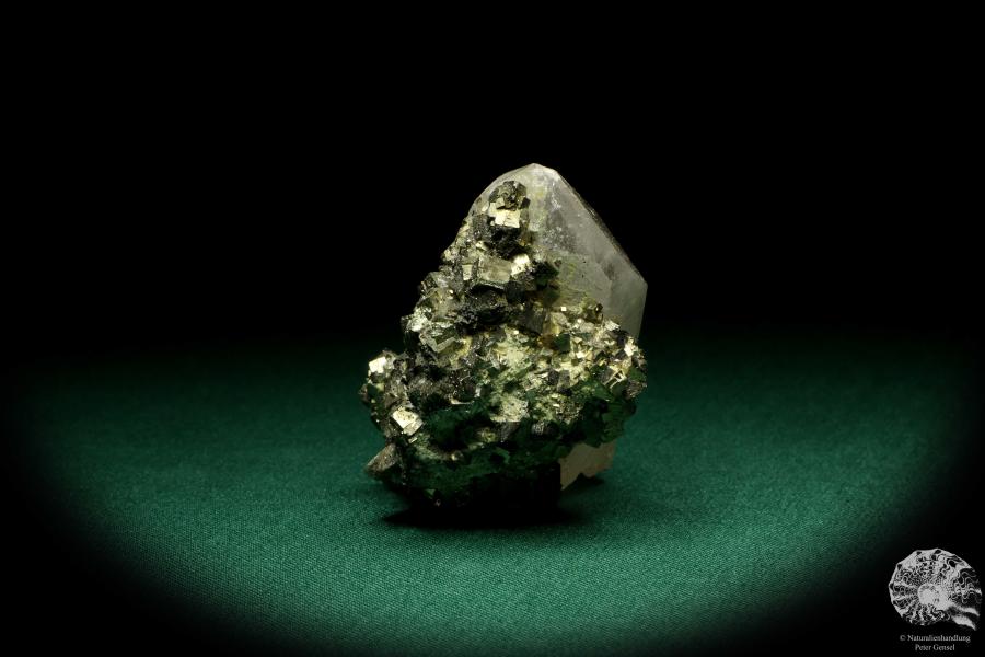 Quartz XX with Pyrite XX a mineral