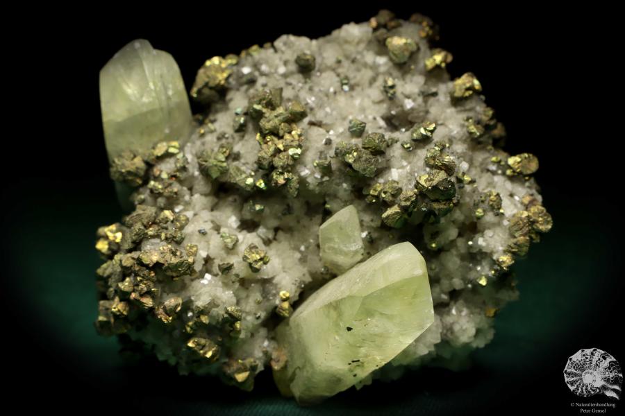 Calcite XX and Chalcopyrite XX on Ankerite XX (20042) a mineral from USA | Minerals | Global