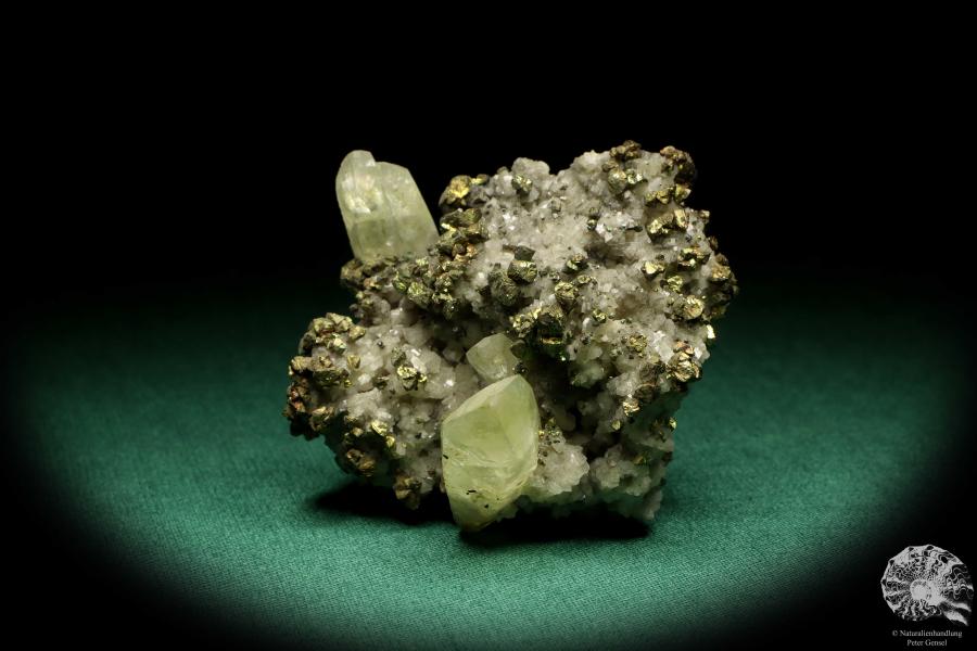 Calcit XX und Chalkopyrit XX auf Ankerit XX (20042) ein Mineral aus USA | Mineralien | Weltweit