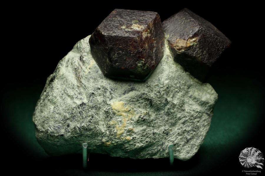 Almandin XX (20109) ein Mineral aus Österreich | Mineralien | Weltweit