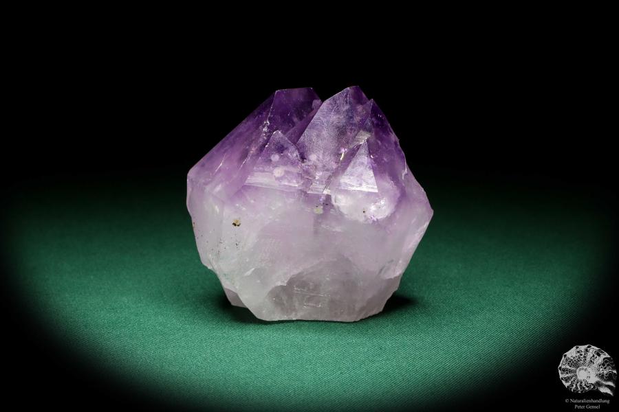 Amethyste XX (20119) a mineral from South America | Minerals | Global