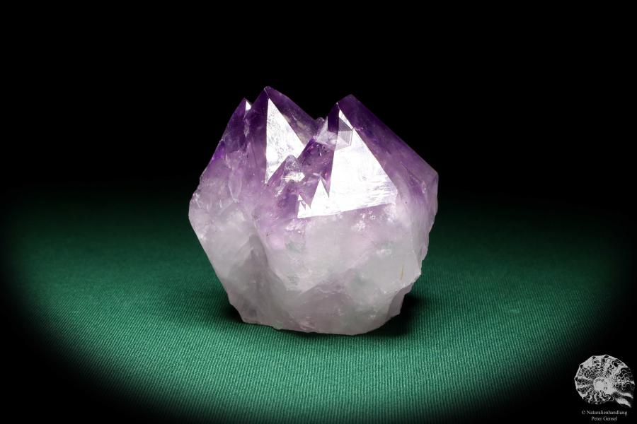 Amethyste XX (20119) a mineral from South America | Minerals | Global