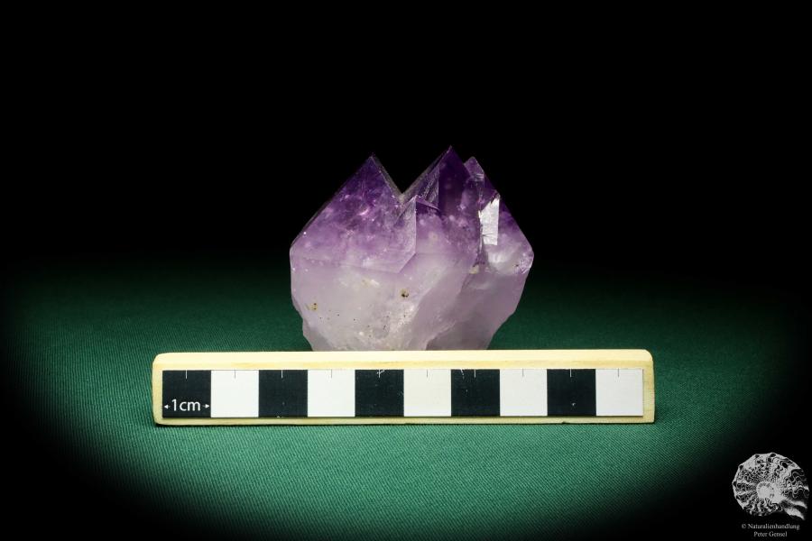 Amethyst XX (20119) ein Mineral aus Südamerika | Mineralien | Weltweit