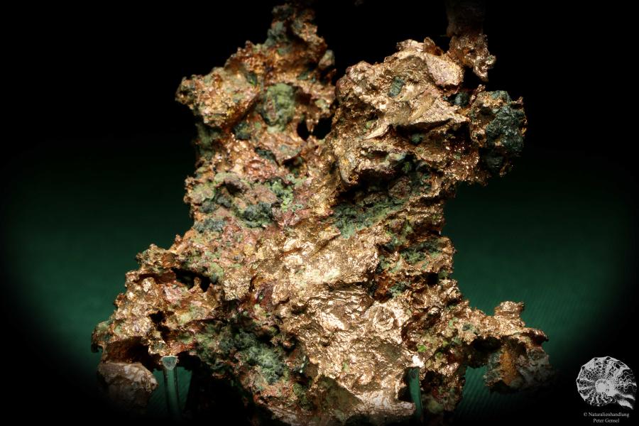 Gediegenes Kupfer (20121) ein Mineral aus USA | Mineralien | Weltweit