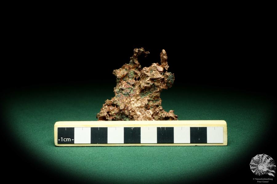 Solid Copper (20121) a mineral from USA | Minerals | Global