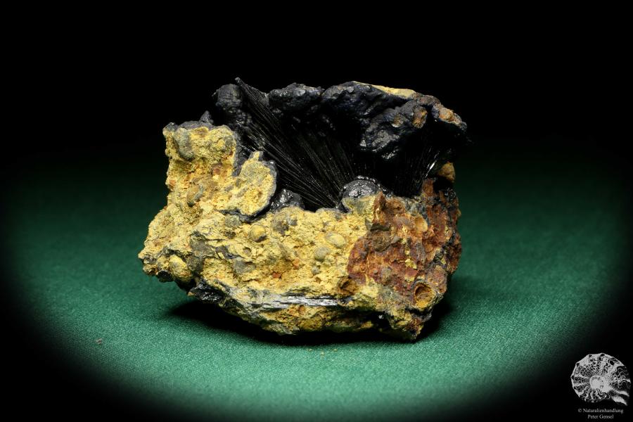 Vivianit XX (20123) ein Mineral aus Ukraine | Mineralien | Weltweit