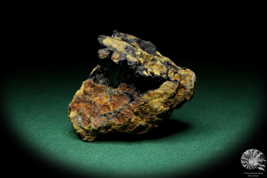 Vivianit XX (20123) ein Mineral aus Ukraine | Mineralien | Weltweit