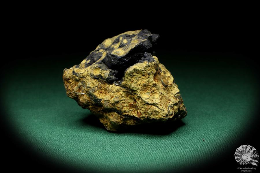 Vivianit XX (20123) ein Mineral aus Ukraine | Mineralien | Weltweit