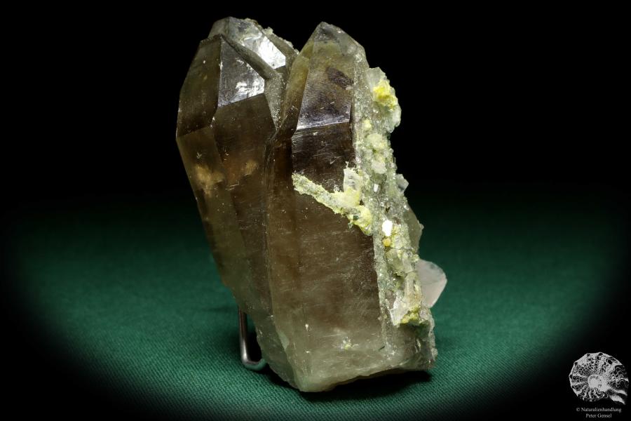 Rauchquarz XX & Fluorit XX & Bertrandit XX & Pyrit XX (20127) ein Mineral aus Kasachstan | Mineralien | Weltweit