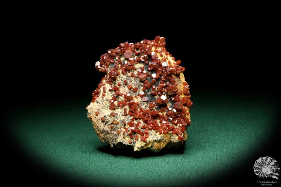 Vanadinit XX (20134) ein Mineral aus Marokko | Mineralien | Weltweit