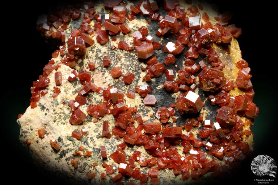 Vanadinite XX (20134) a mineral from Morocco | Minerals | Global