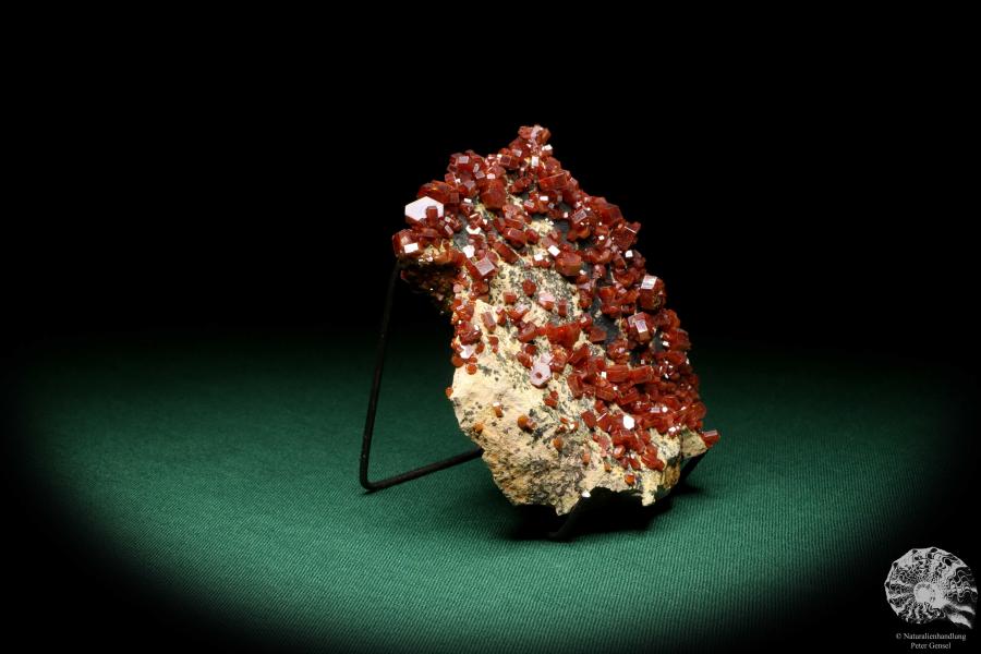 Vanadinite XX (20134) a mineral from Morocco | Minerals | Global