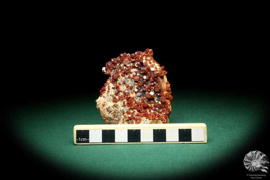 Vanadinite XX (20134) a mineral from Morocco | Minerals | Global