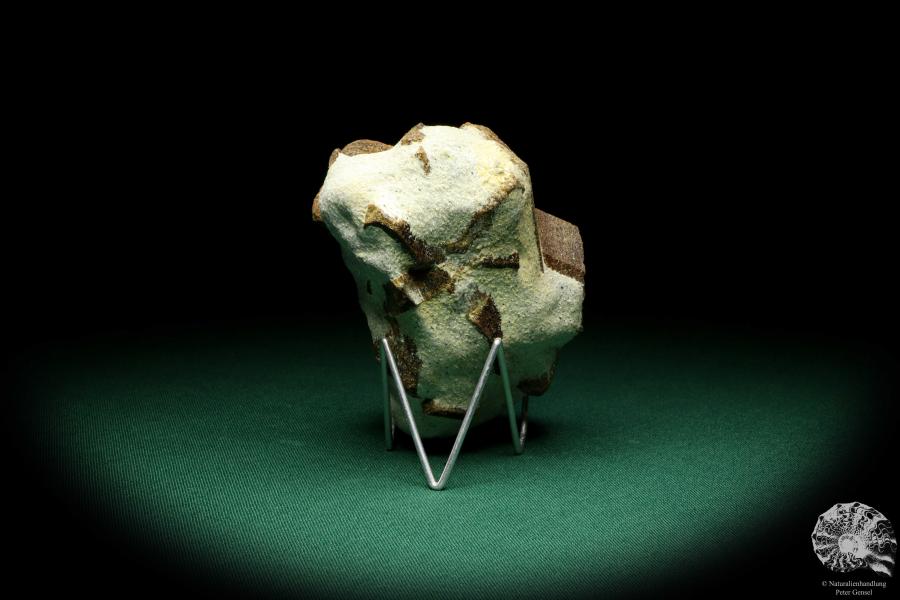 Staurolith XX (20136) ein Mineral aus Russland | Mineralien | Weltweit