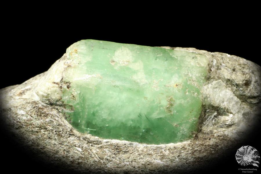 Emerald XX (20138) a mineral from Russia | Minerals | Global