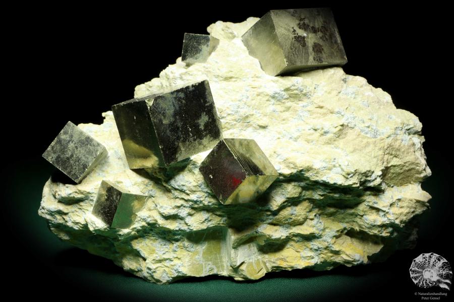 Pyrit XX in Mergelmatrix (20139) ein Mineral aus Spanien | Mineralien | Weltweit