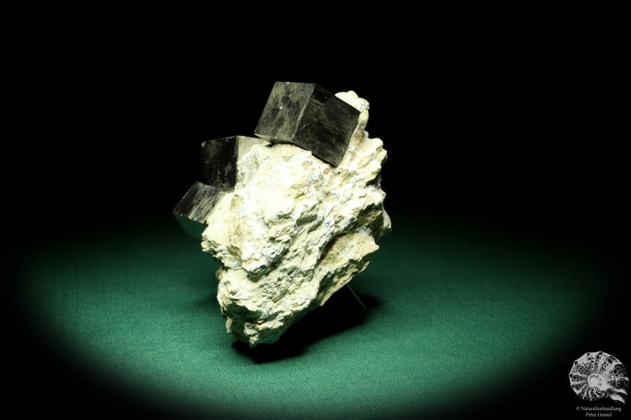 Pyrit XX in Mergelmatrix (20139) ein Mineral aus Spanien | Mineralien | Weltweit