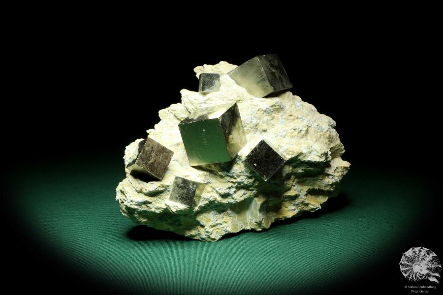 Pyrite XX in Marl Matrix (20139) a mineral from Spain | Minerals | Global