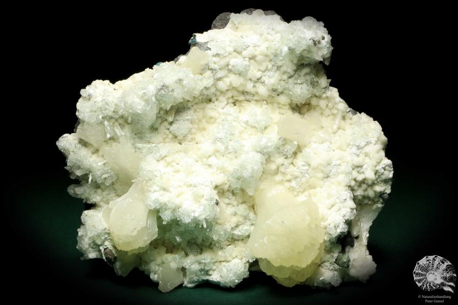 Stilbite XX and Apophyllite XX - India - (20140)